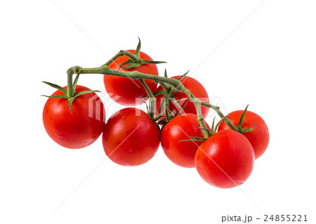 新鮮枝付きミニトマト　Mini-tomato with the branch 24855221