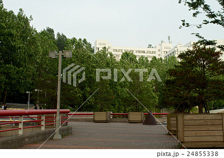 Hongik university in Seoul, Korea 24855338