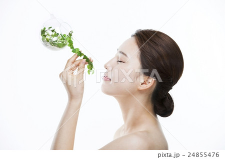 スキンケア　ビューティー 24855476