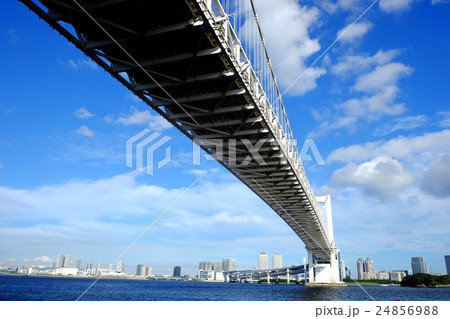 レインボーブリッジの景観 24856988