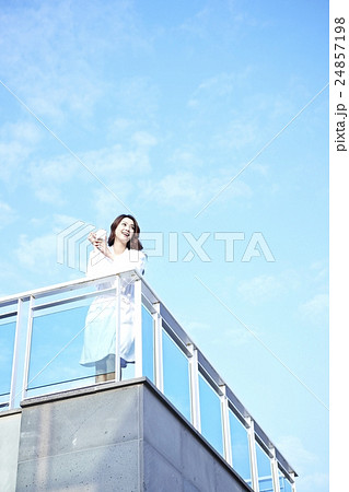 恋 恋 24857198