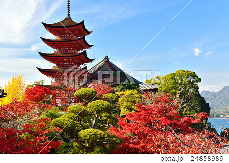 秋の宮島の五重塔と赤く色付いたもみじの写真素材