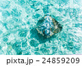 海の俯瞰図 24859209