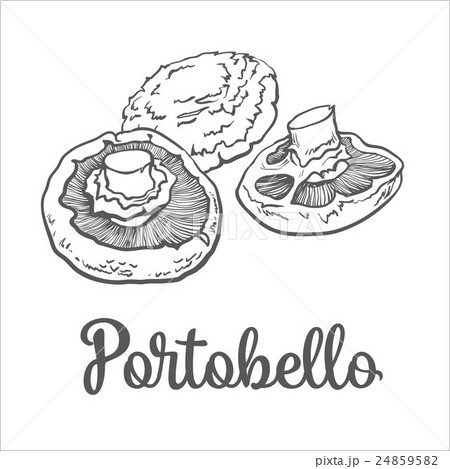 Set of portobello edible mushrooms Set of portobello edible mushrooms 24859582