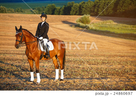 Beautiful elegance woman cowgirl, riding a horse Beautiful elegance woman cowgirl, riding a horse 24860697