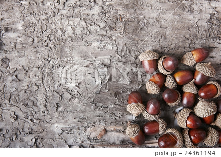 秋の工芸 秋の工芸 24861194