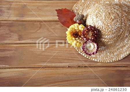 秋の工芸 秋の工芸 24861230