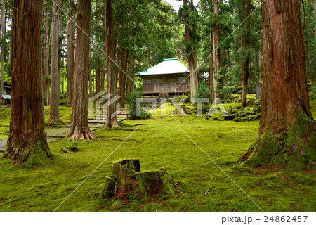 平泉寺白山神社 24862457