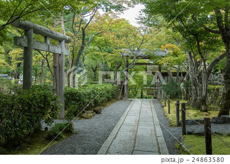 京都　初秋の化野念仏寺の入り口と鳥居 24863580