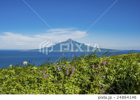 礼文島から望む利尻富士 24864146