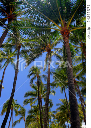 Waikiki Beach, Honolulu, Oahu, Hawaii.. Waikiki Beach, Honolulu, Oahu, Hawaii.. 24865371