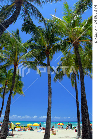 Waikiki Beach, Honolulu, Oahu, Hawaii.. 24865374