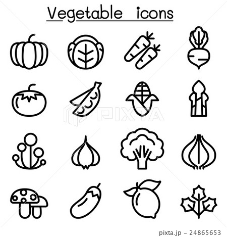 Vegetable icon set in thin line style 24865653