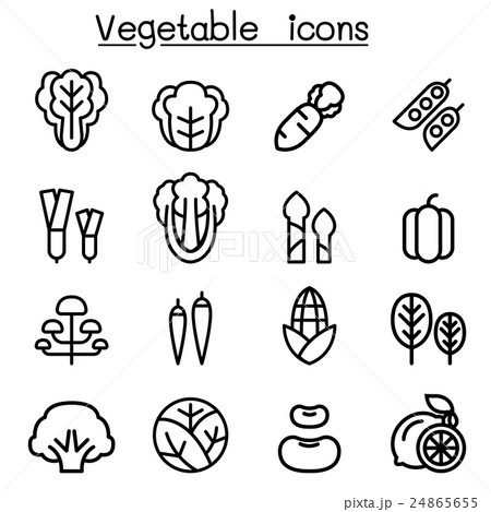 Vegetable icon set 24865655