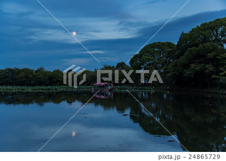 京都　中秋の名月　大覚寺の観月の夕べ　月見の舟 24865729