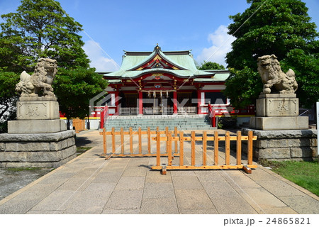 潮田神社本殿と狛犬 24865821