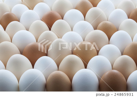 たまご たまご 24865931