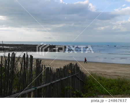 ビーチ 浜辺 渚 24867637