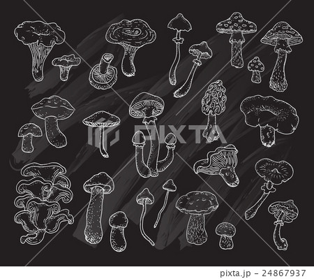 Mushrooms.  24867937