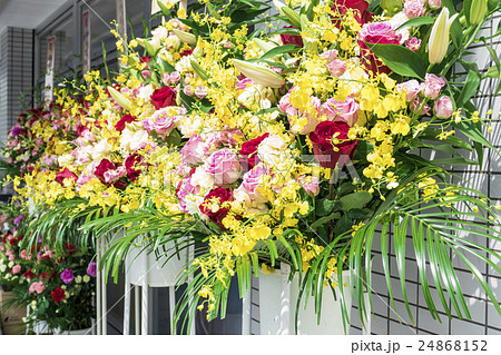 開店　スタンド花 24868152