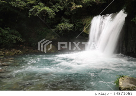 河津七滝 初景滝 河津七滝 初景滝 24871065