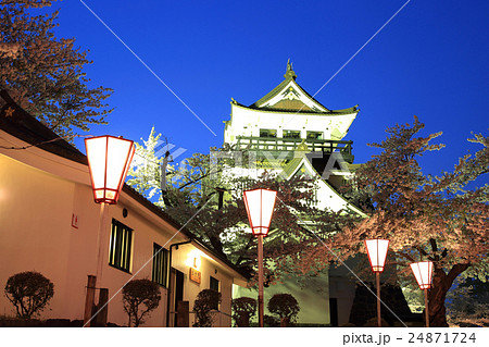 横手公園 夜桜 ライトアップ 24871724