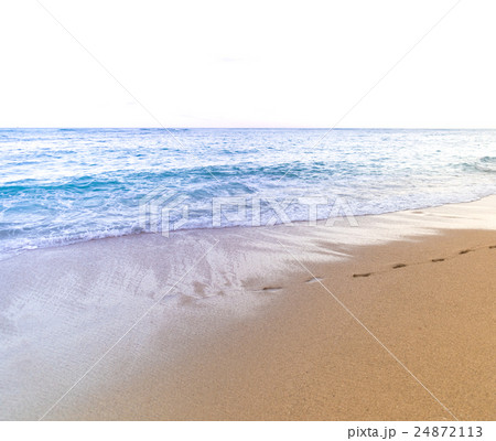 南国イメージ 24872113