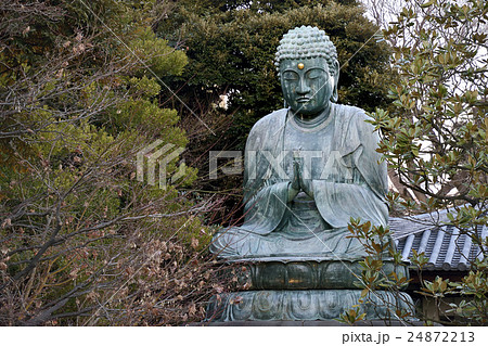 谷中大仏 護国山天王寺 谷中大仏 護国山天王寺 24872213
