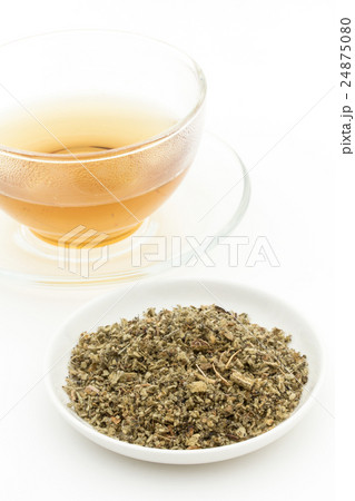 マレインティー:Mullein tea 24875080