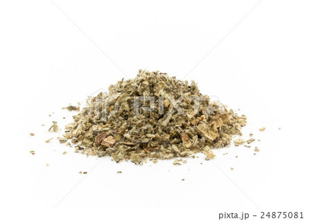 マレインリーフ:Mullein leaf マレインリーフ:Mullein leaf 24875081