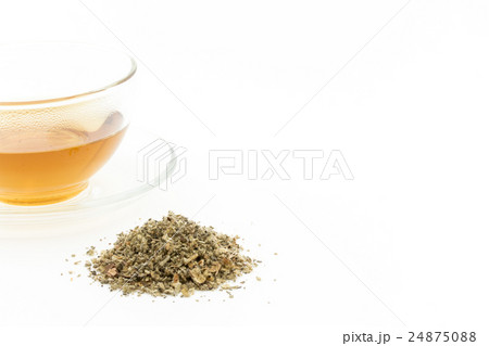 マレインティー:Mullein tea マレインティー:Mullein tea 24875088