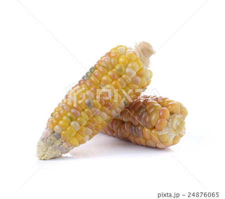 corn on white background 24876065