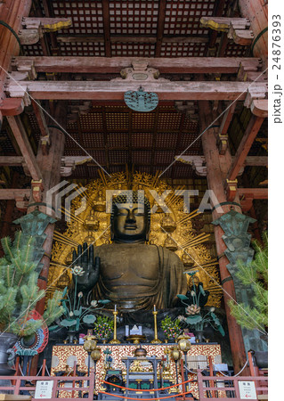 東大寺大仏 東大寺大仏 24876393