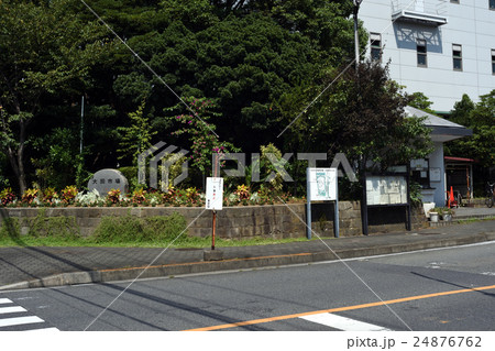 大田市場の花き部正門 24876762