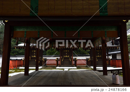 下鴨神社　三井神社 24878166