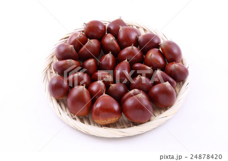 栗 栗 24878420