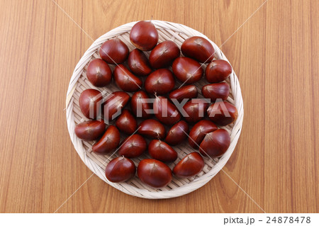 栗 24878478