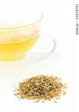ヤロウティー:Yarrow tea 24878761