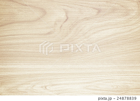 Hardwood maple basketball 24878839