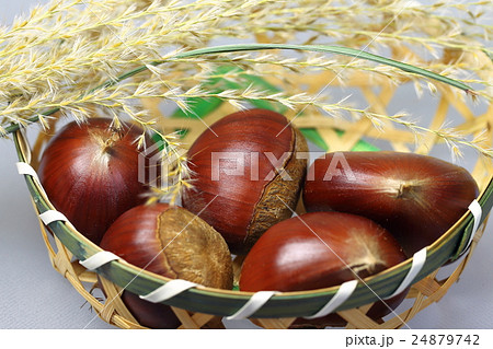 【秋の栗】横位置 24879742