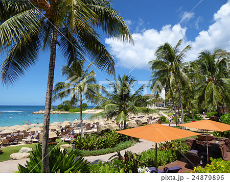 コオリナビーチ コオリナビーチ 24879896