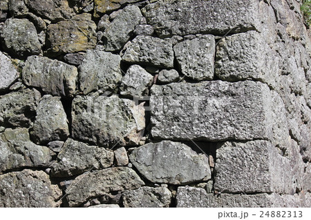 上田城の石垣 上田城の石垣 24882313
