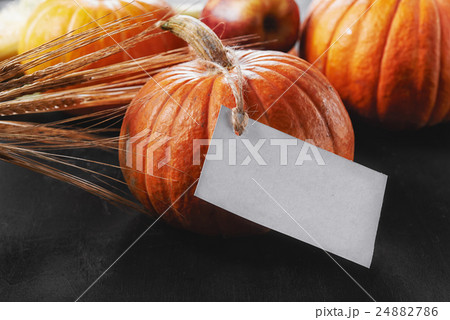 pumpkin and empty card. pumpkin and empty card. 24882786