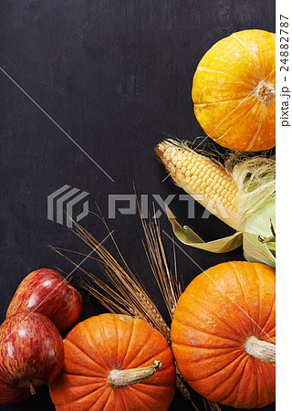 vegetables on black background vegetables on black background 24882787