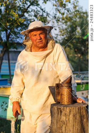 portrait of a beekeeper on apiary at hive portrait of a beekeeper on apiary at hive 24883323