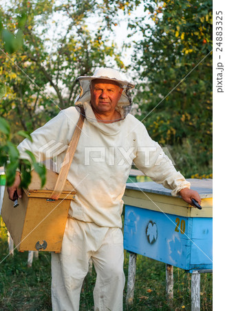 portrait of a beekeeper on apiary at hive 24883325