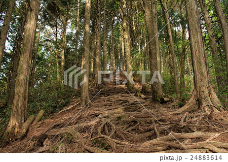 長野県大川入山登山道 長野県大川入山登山道 24883614