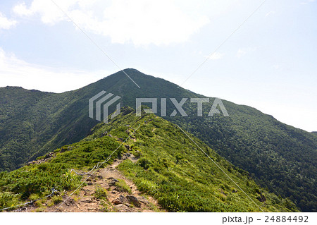 アポイ岳 アポイ岳 24884492