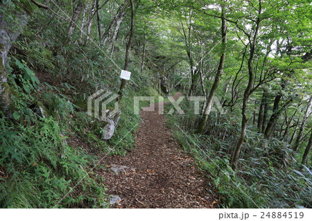 高知県津野町 四国カルスト 天狗高原セラピーロード 高知県津野町 四国カルスト 天狗高原セラピーロード 24884519