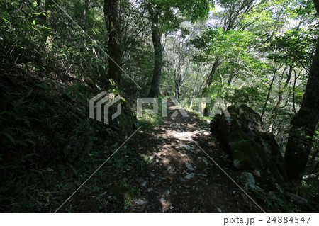 高知県津野町 四国カルスト 天狗高原セラピーロードの写真素材